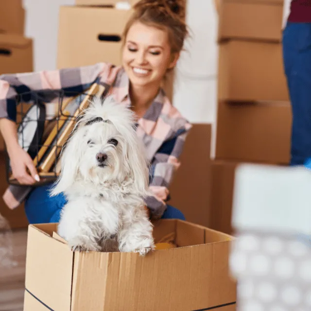 girl with dog inside box